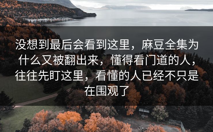 没想到最后会看到这里，麻豆全集为什么又被翻出来，懂得看门道的人，往往先盯这里，看懂的人已经不只是在围观了