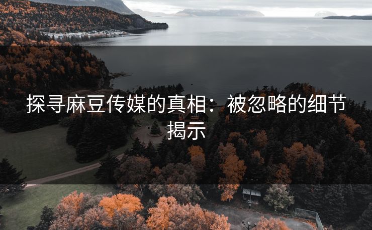 探寻麻豆传媒的真相：被忽略的细节揭示
