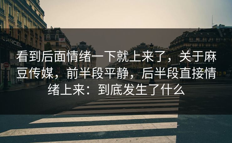 看到后面情绪一下就上来了，关于麻豆传媒，前半段平静，后半段直接情绪上来：到底发生了什么