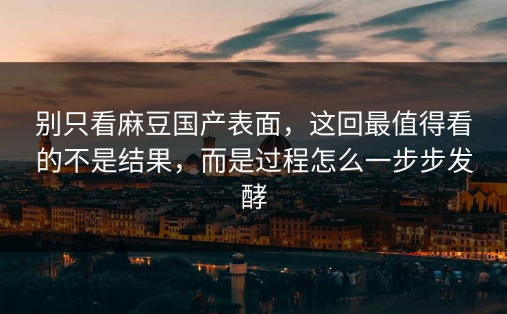 别只看麻豆国产表面，这回最值得看的不是结果，而是过程怎么一步步发酵