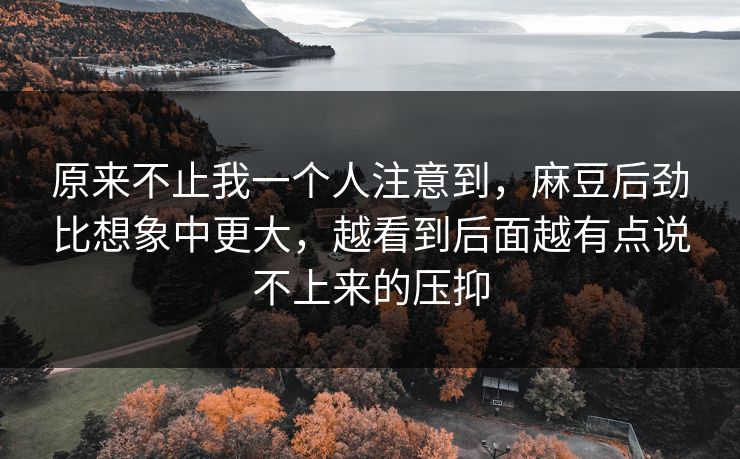 原来不止我一个人注意到,麻豆后劲比想象中更大,越看到后面越有点说不上来的压抑