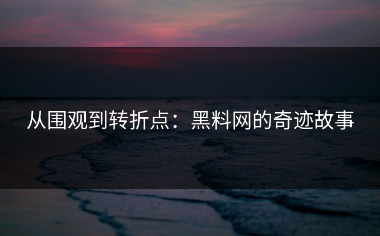 从围观到转折点：黑料网的奇迹故事