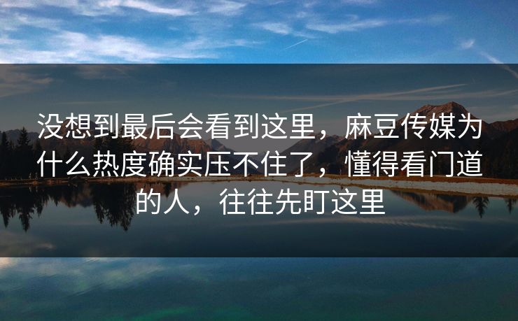 没想到最后会看到这里，麻豆传媒为什么热度确实压不住了，懂得看门道的人，往往先盯这里