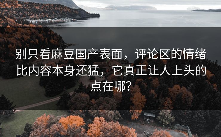 别只看麻豆国产表面，评论区的情绪比内容本身还猛，它真正让人上头的点在哪？
