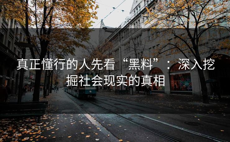 真正懂行的人先看“黑料”：深入挖掘社会现实的真相