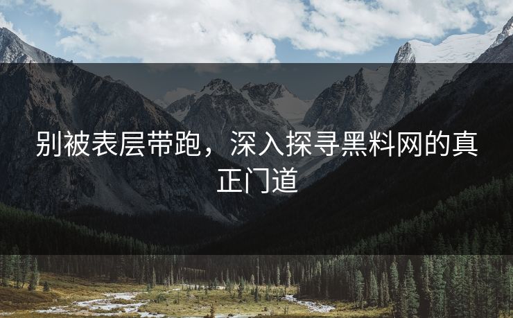 别被表层带跑，深入探寻黑料网的真正门道