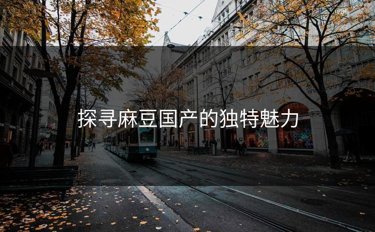 探寻麻豆国产的独特魅力
