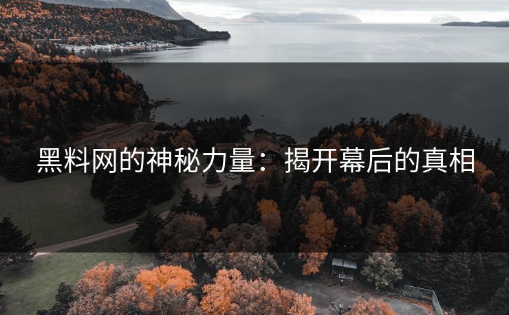 黑料网的神秘力量：揭开幕后的真相