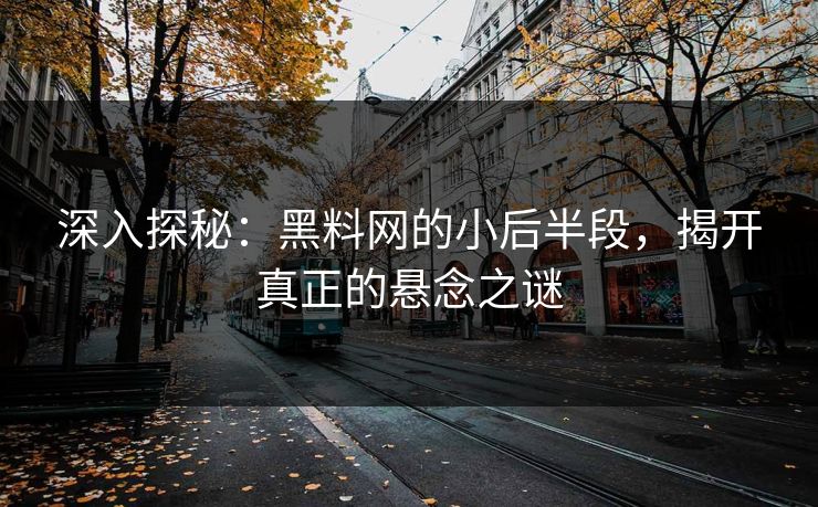 深入探秘：黑料网的小后半段，揭开真正的悬念之谜