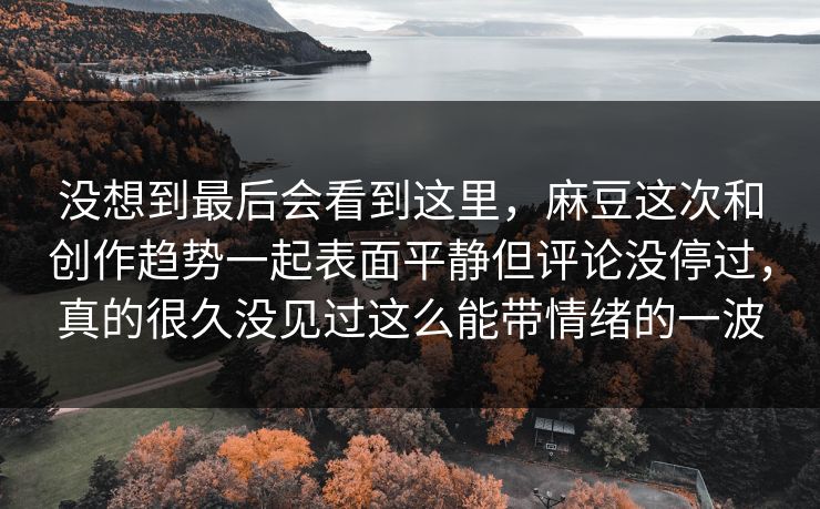 没想到最后会看到这里，麻豆这次和创作趋势一起表面平静但评论没停过，真的很久没见过这么能带情绪的一波