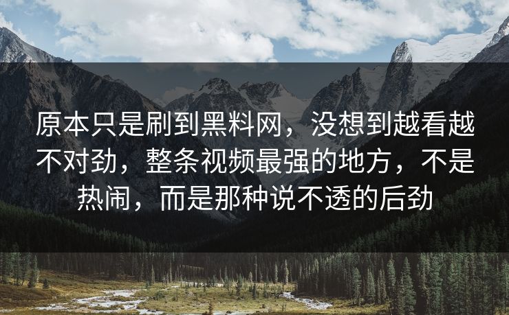 原本只是刷到黑料网，没想到越看越不对劲，整条视频最强的地方，不是热闹，而是那种说不透的后劲