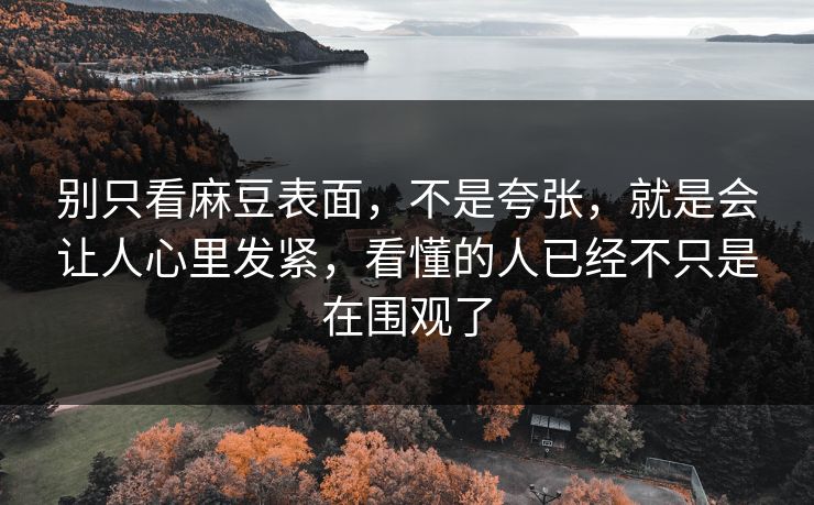 别只看麻豆表面，不是夸张，就是会让人心里发紧，看懂的人已经不只是在围观了