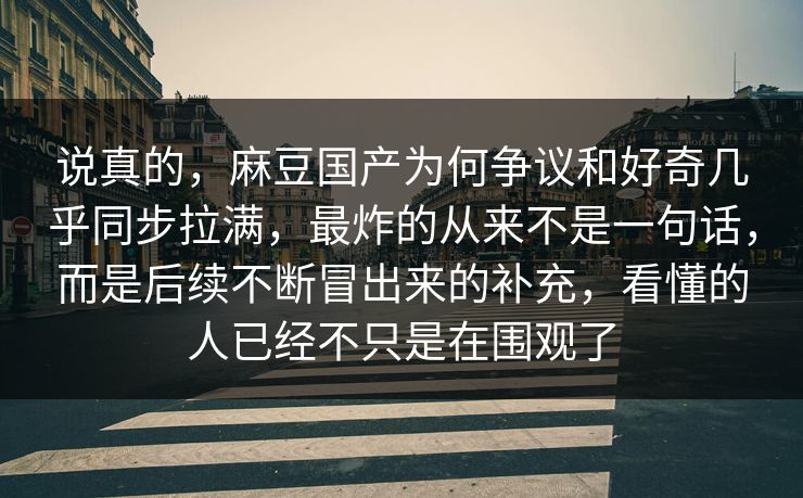 说真的，麻豆国产为何争议和好奇几乎同步拉满，最炸的从来不是一句话，而是后续不断冒出来的补充，看懂的人已经不只是在围观了