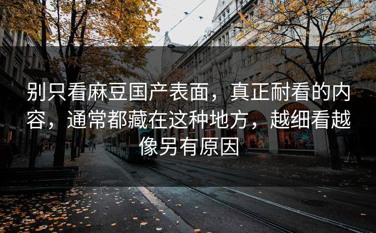 别只看麻豆国产表面，真正耐看的内容，通常都藏在这种地方，越细看越像另有原因