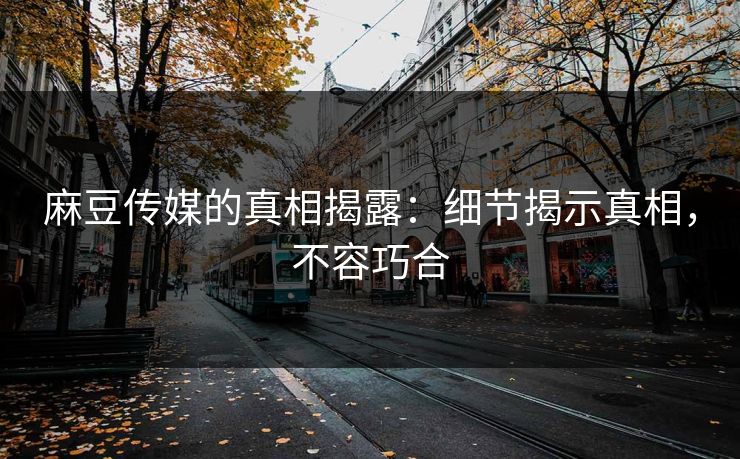 麻豆传媒的真相揭露：细节揭示真相，不容巧合