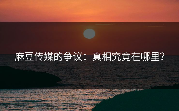 麻豆传媒的争议：真相究竟在哪里？